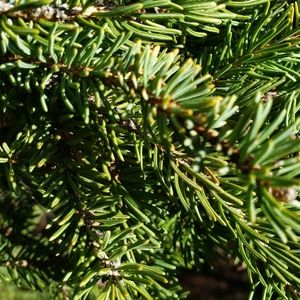 Meet your Posher, Makayla